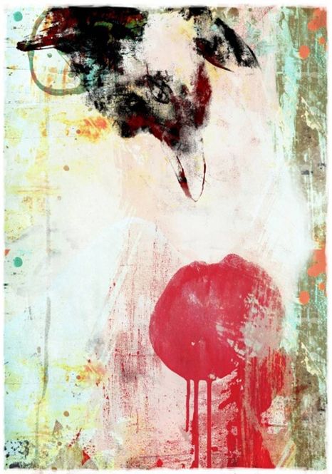 Hovedbilde The cerry kiss