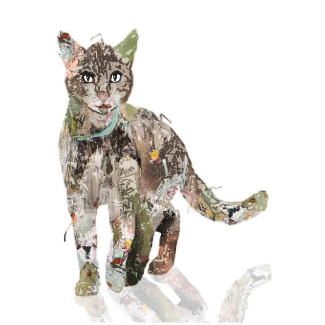 Hovedbilde Pus - Jakeksperten 50x70 cm